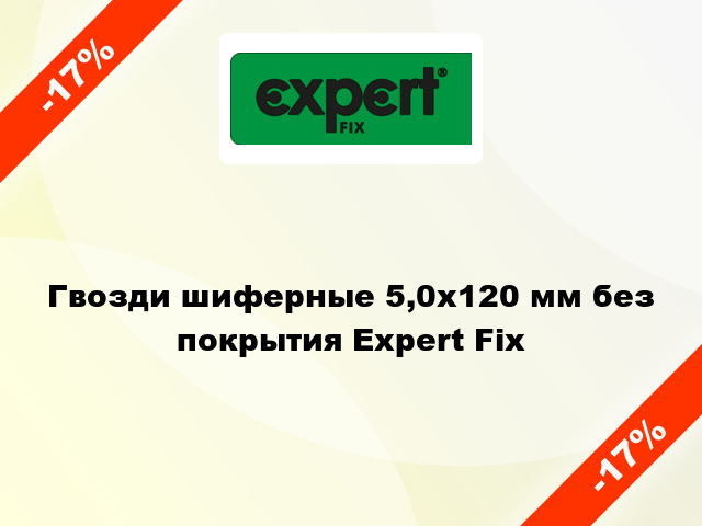 Гвозди шиферные 5,0x120 мм без покрытия Expert Fix