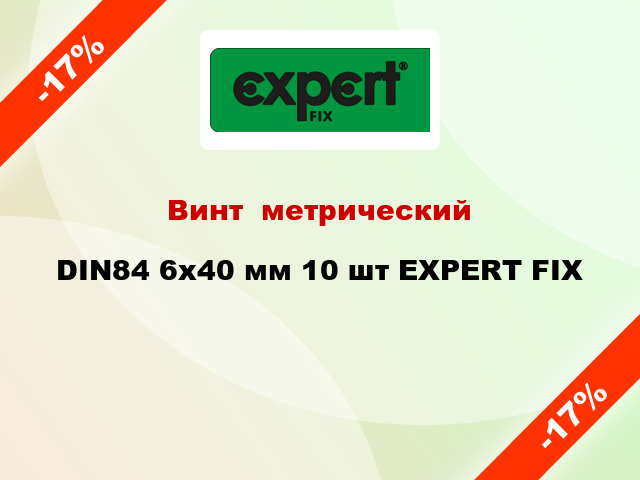 Винт  метрический DIN84 6x40 мм 10 шт EXPERT FIX