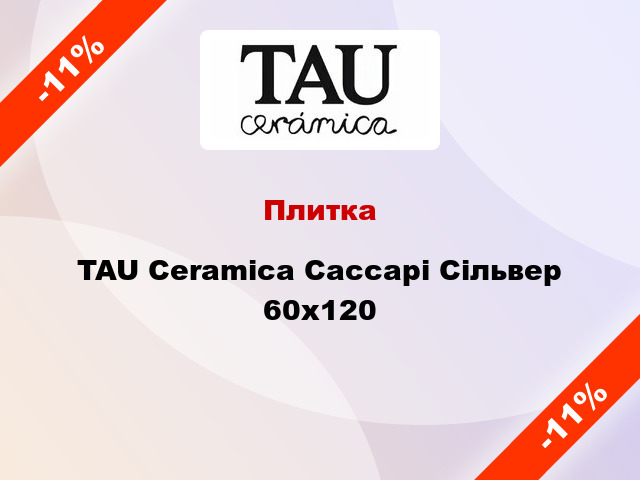 Плитка TAU Ceramica Сассарі Сільвер 60x120