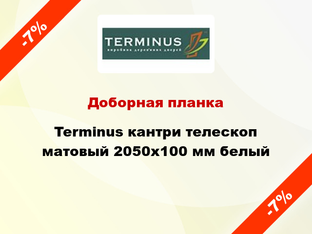 Доборная планка Terminus кантри телескоп матовый 2050х100 мм белый