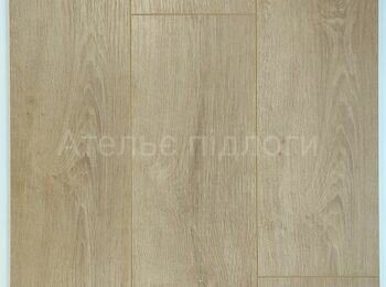 IMG_20250123_112846 _1_