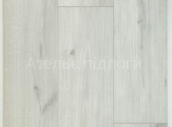 IMG_20250123_113401 _1_