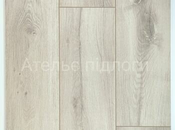 IMG_20250123_113810 _1_