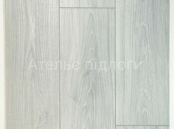 IMG_20250123_115424 _1_