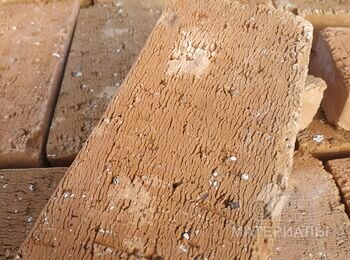 IMG_20211106_110822