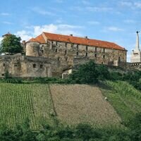 Продавец Роман Гульпа