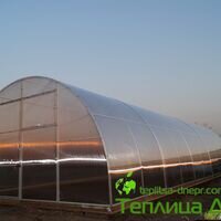 Продавец Павел Тепличный