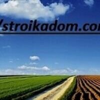 Продавец Maksimilyan Wasinovic
